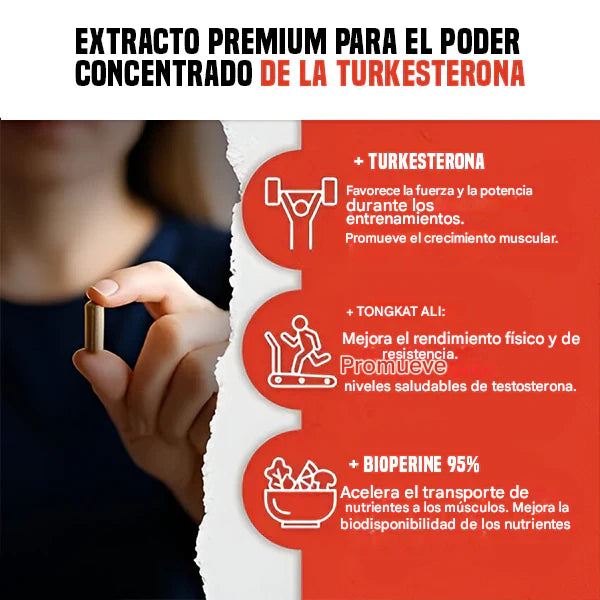 Turkesterone + Tongkat Ali | Fuerza, Masa y Rendimiento SX NATURAL
